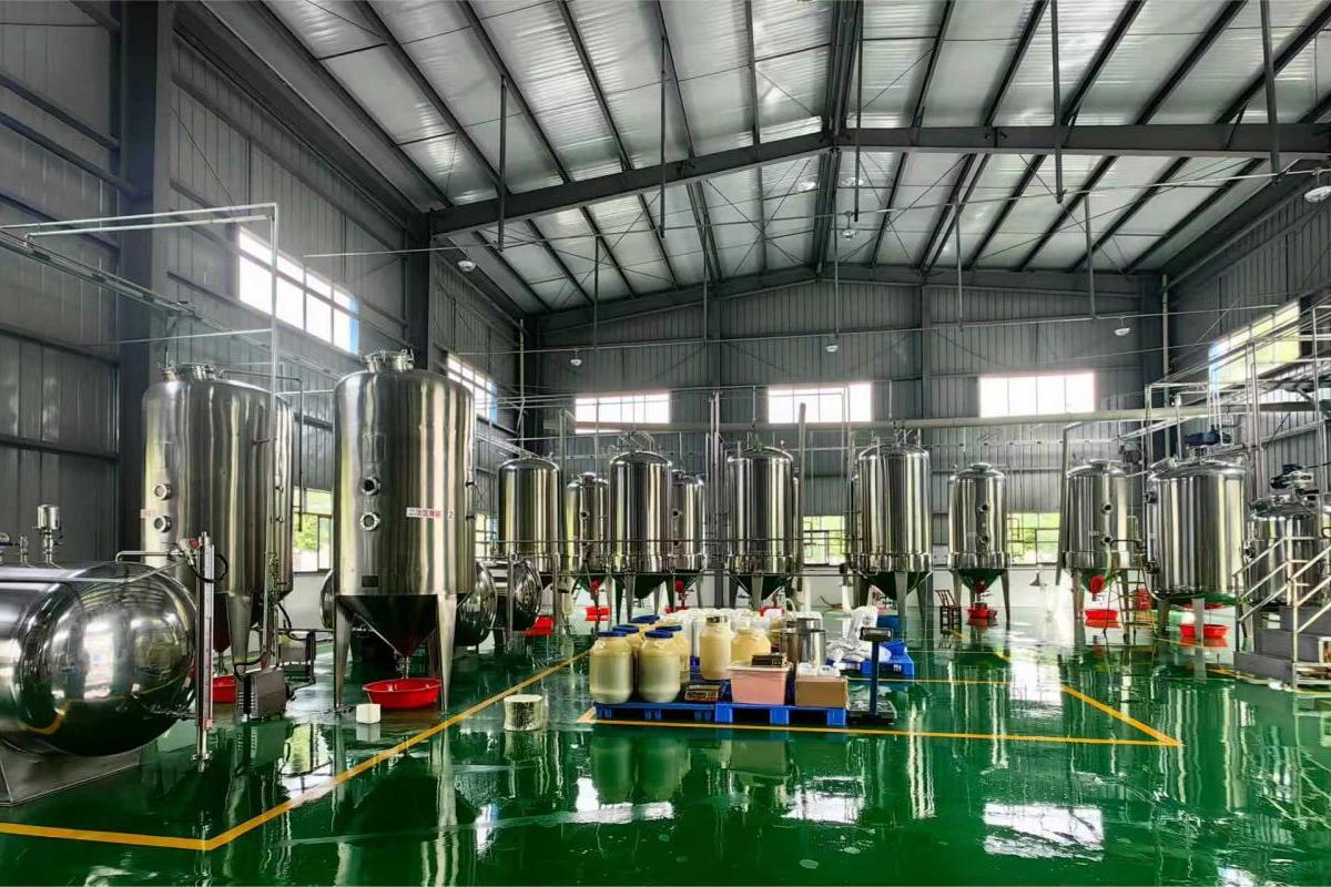 Organic Bean Pasta (1)