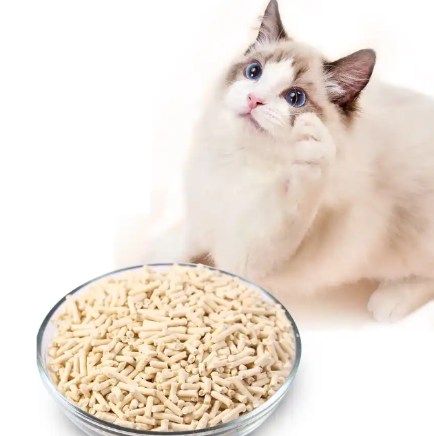https://www.hebeiabiding.com/soybean-powder-plant-based-products/