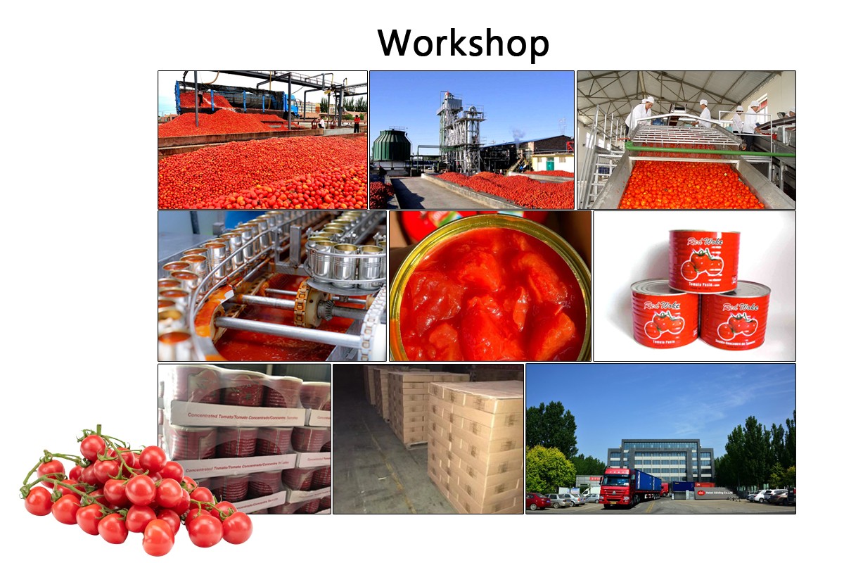 Canned Diced Tomatoesdetia (3)