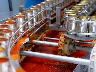 Canned Diced Tomatoesdetial (2)