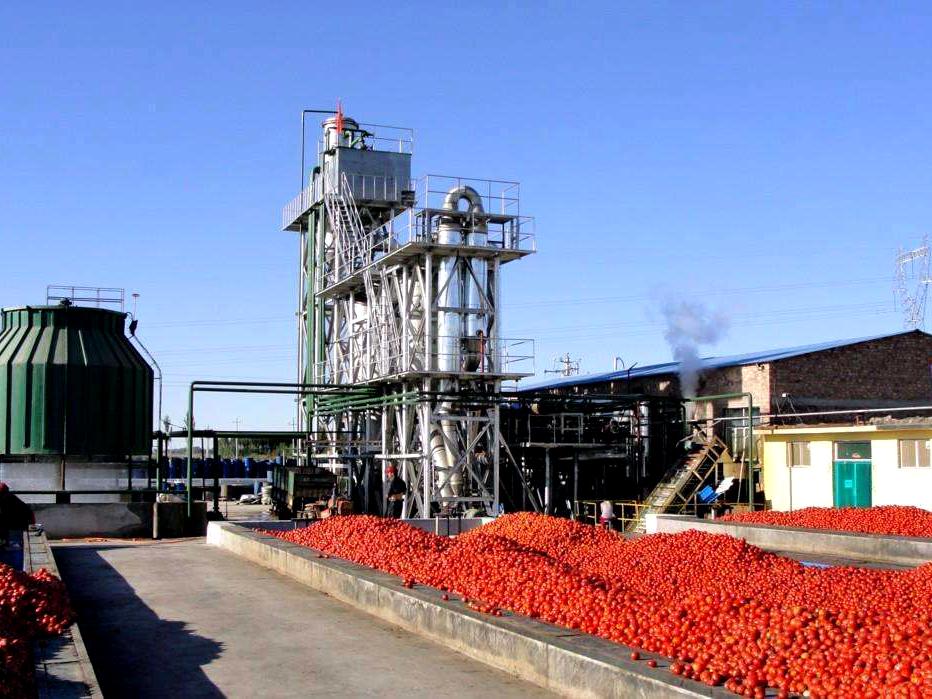 Canned Diced Tomatoesdetial (4)