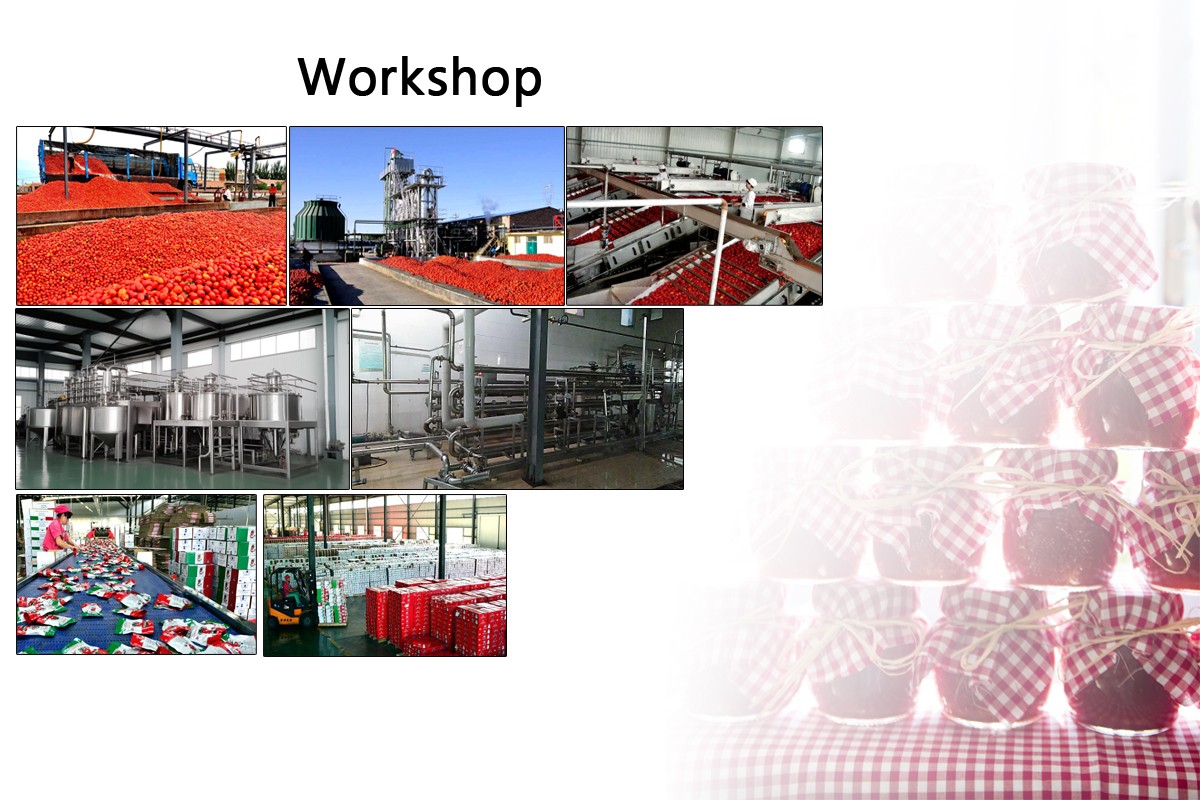 Nutrition (3)