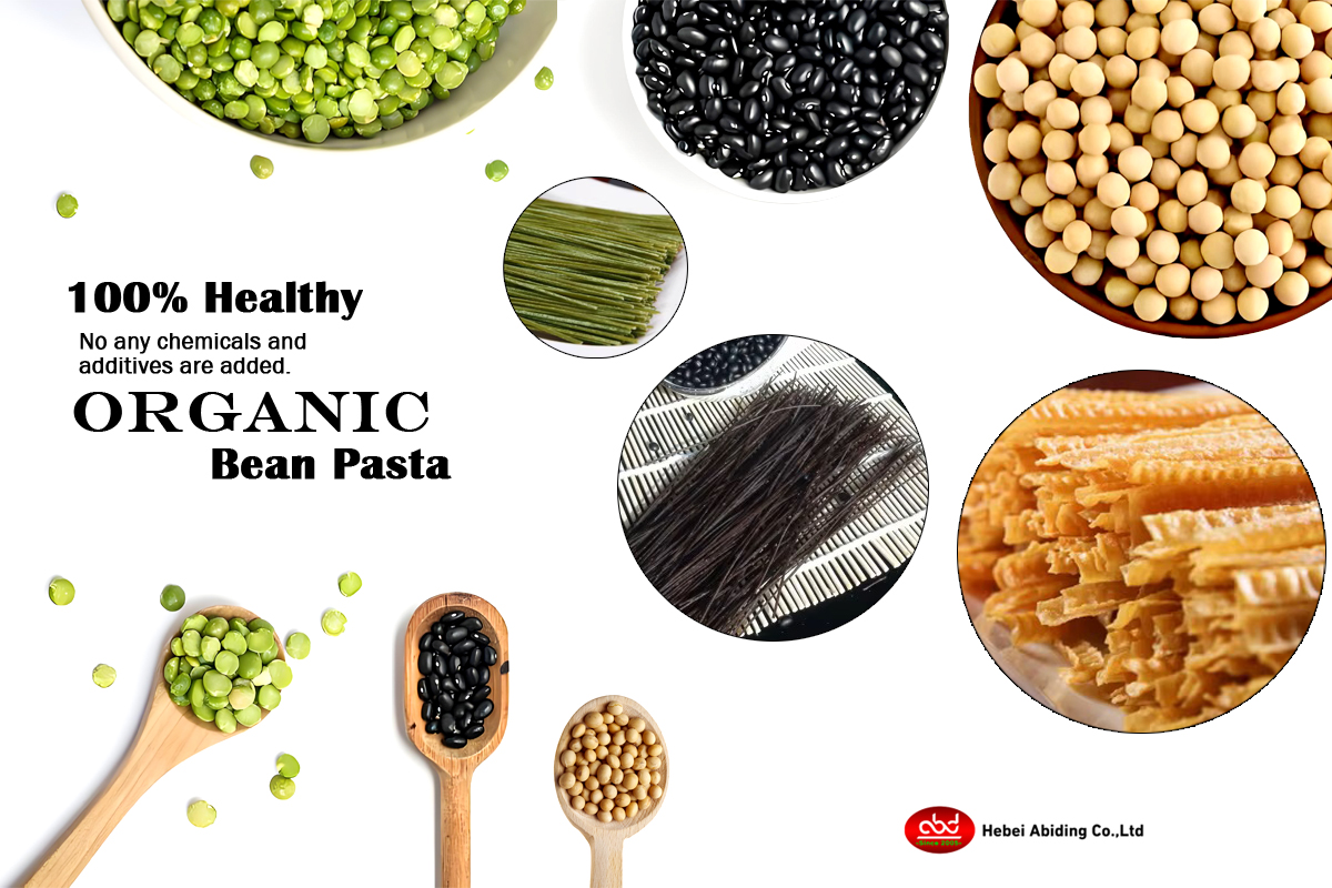 Organic Bean Pastadetail (1)