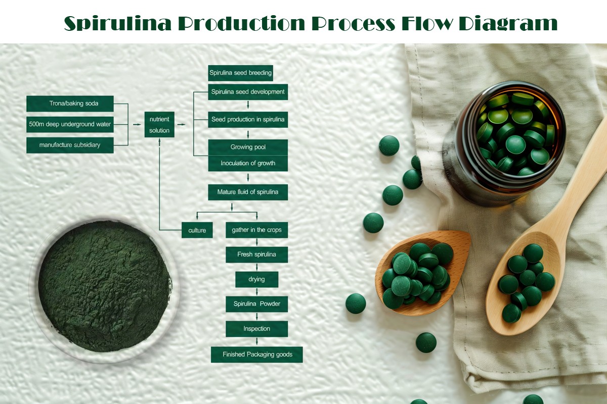 Organic Spirulina Powder (2)