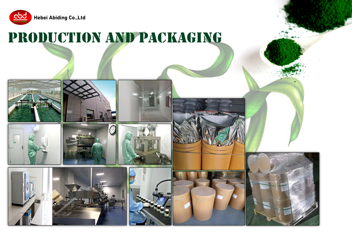 Organic Spirulina Powder (3)
