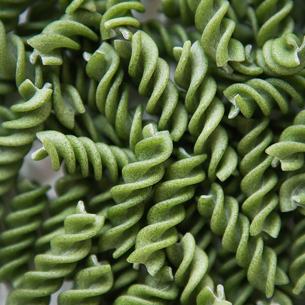 Raw green fusilli pasta, natural based on spinach and spirulina. Delicious and healthy food. Close-up.