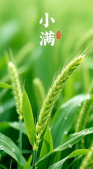 https://www.hebeiabiding.com/textured-soy-protein-tvp-product/