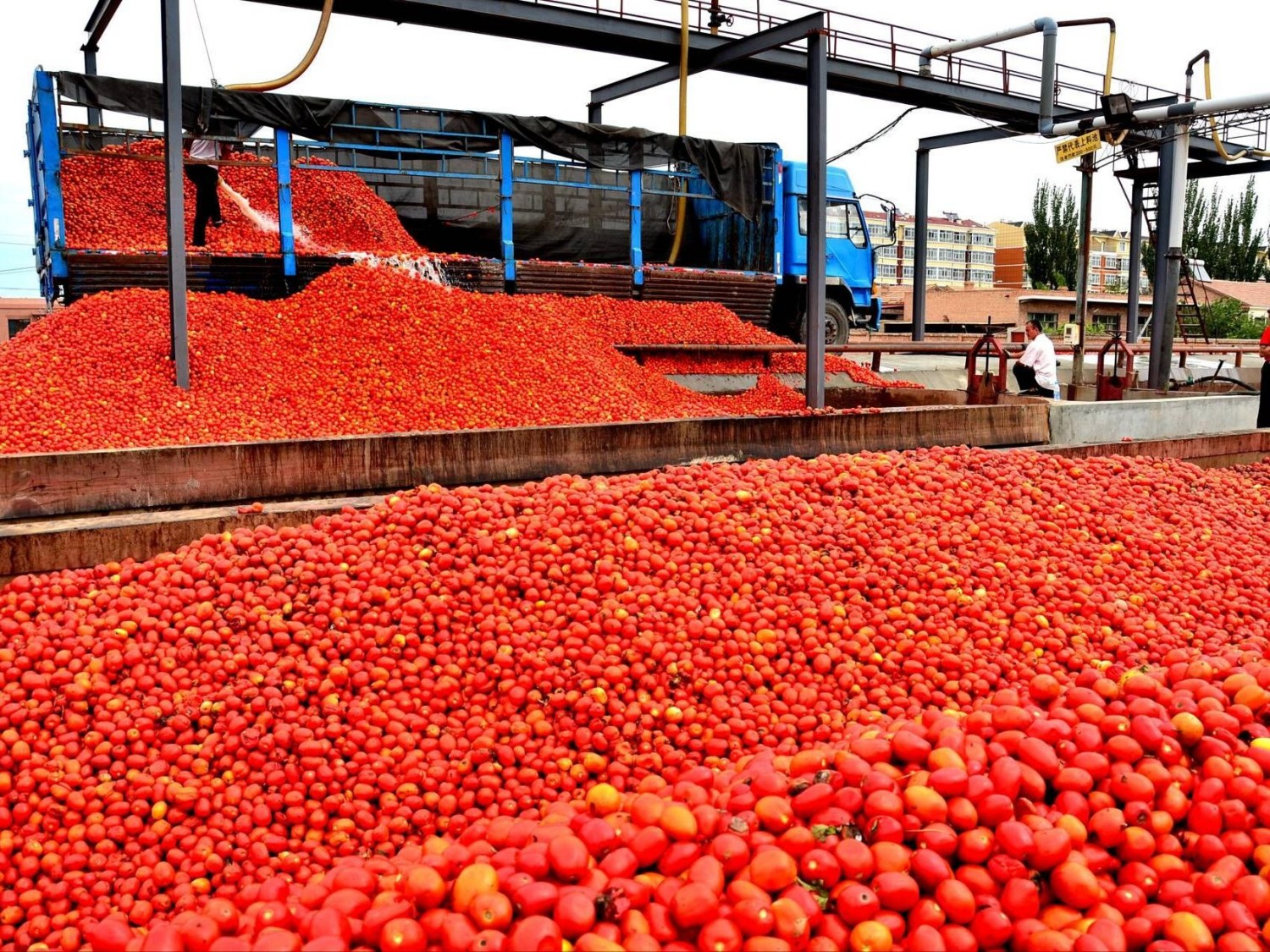 Tomato Ketchupequp (1)