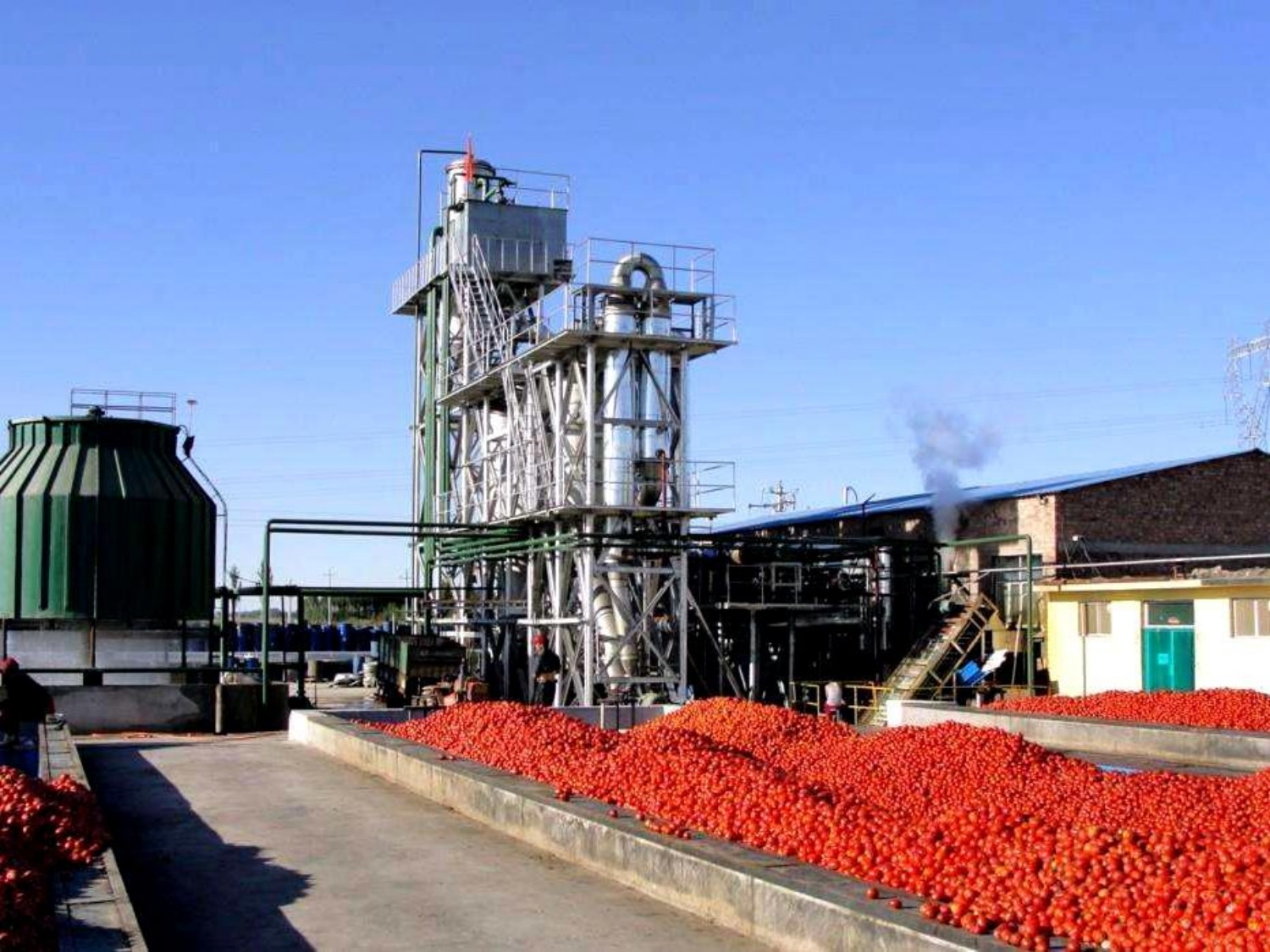 Tomato Ketchupequp (2)