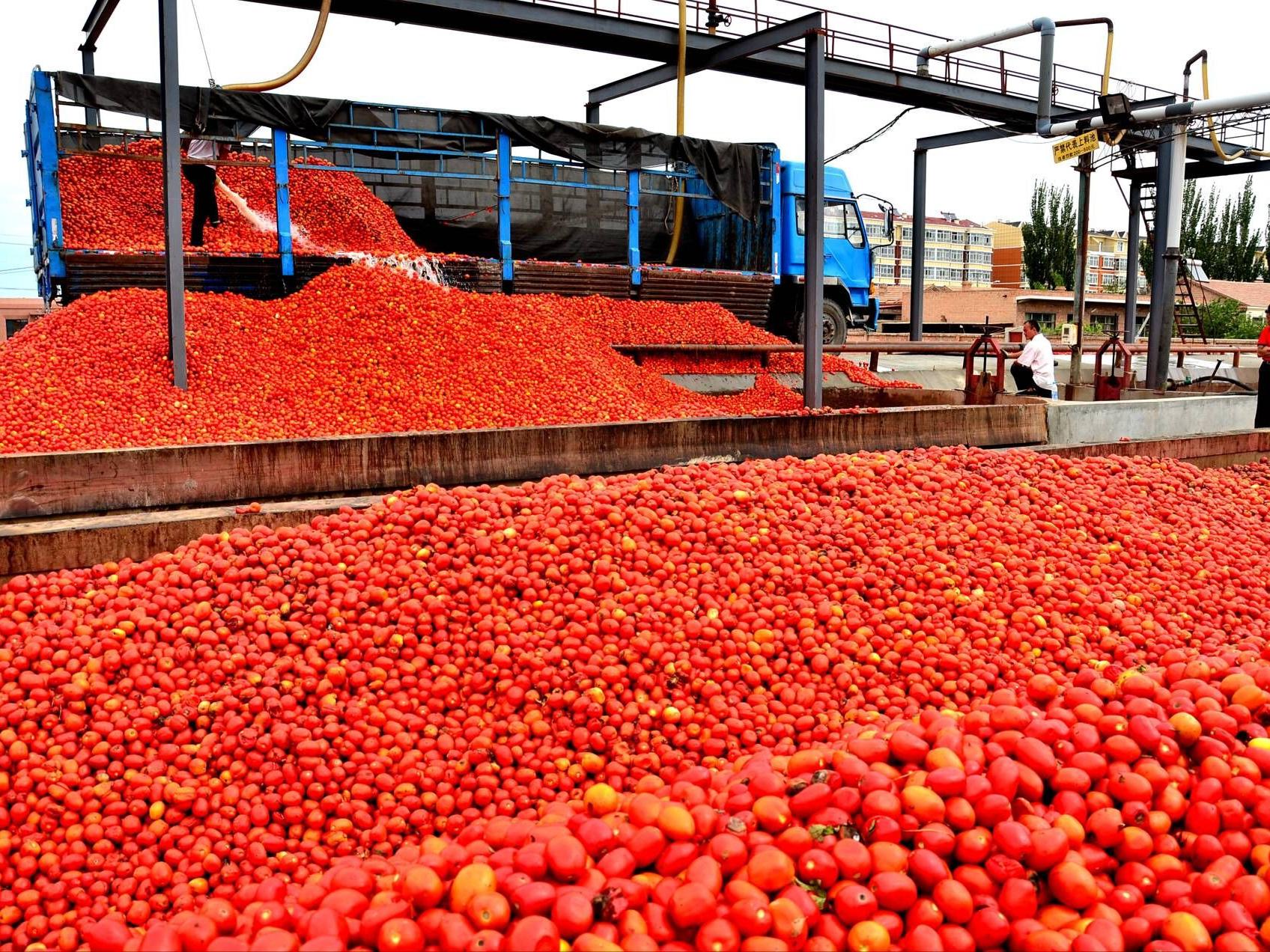 applitNutrition (1)