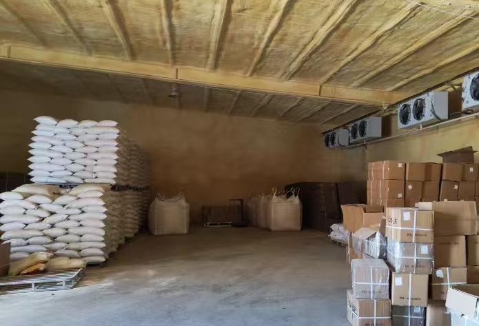 Organic Bean Pasta (3)