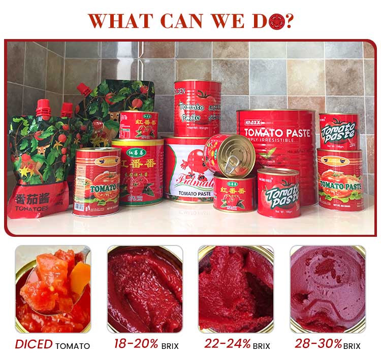 https://www.hebeiabiding.com/canned-tomato-paste-product/